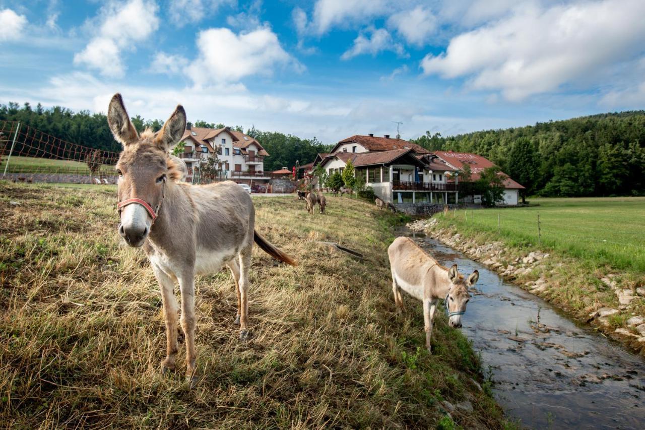 Ekoturizem Hudicevec Hotell Postojna Exteriör bild
